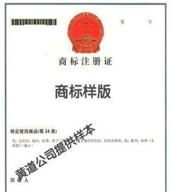 商標專利知識產權代理 企業創新與發展的守護者