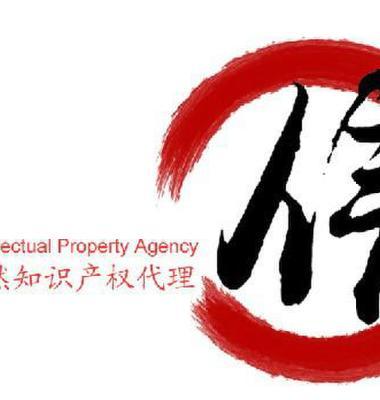 商標(biāo)變更中的圖片要素 知識(shí)產(chǎn)權(quán)代理的關(guān)鍵角色與實(shí)務(wù)指引